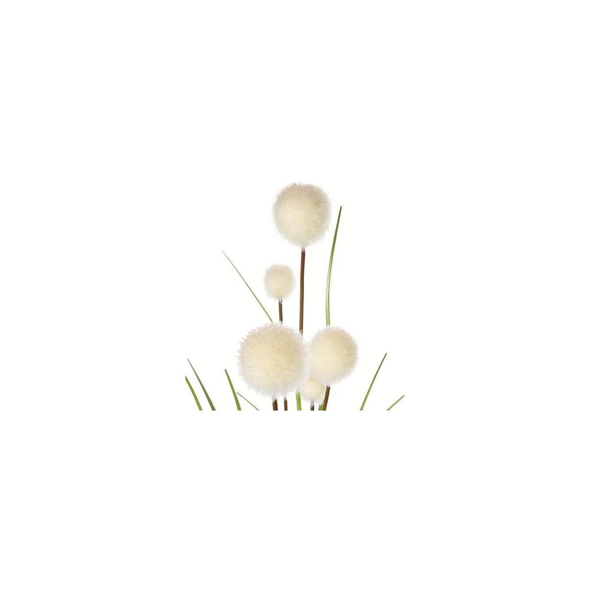 Voir la diapositive 2 : ATMOSPHERA Fleur artificielle  roseau  91cm ivoire