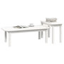 Voir la diapositive 4 : VIDAXL Ensemble de tables basses 2 pcs Blanc Bois massif de pin