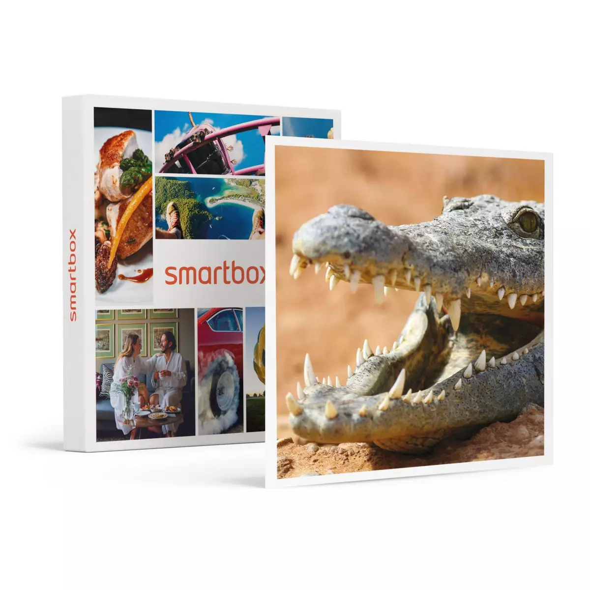 Smartbox Journée passionnante en famille à la Ferme aux Crocodiles, près d'Avignon pour 4 - Coffret Cadeau Sport & Aventure