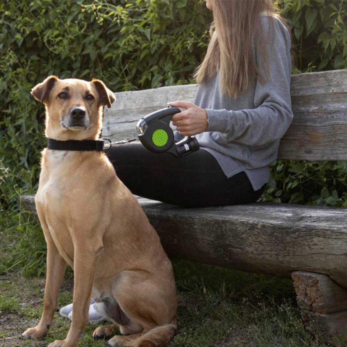 Paris Prix Laisse Automatique pour Chien  3 en 1  5m Noir