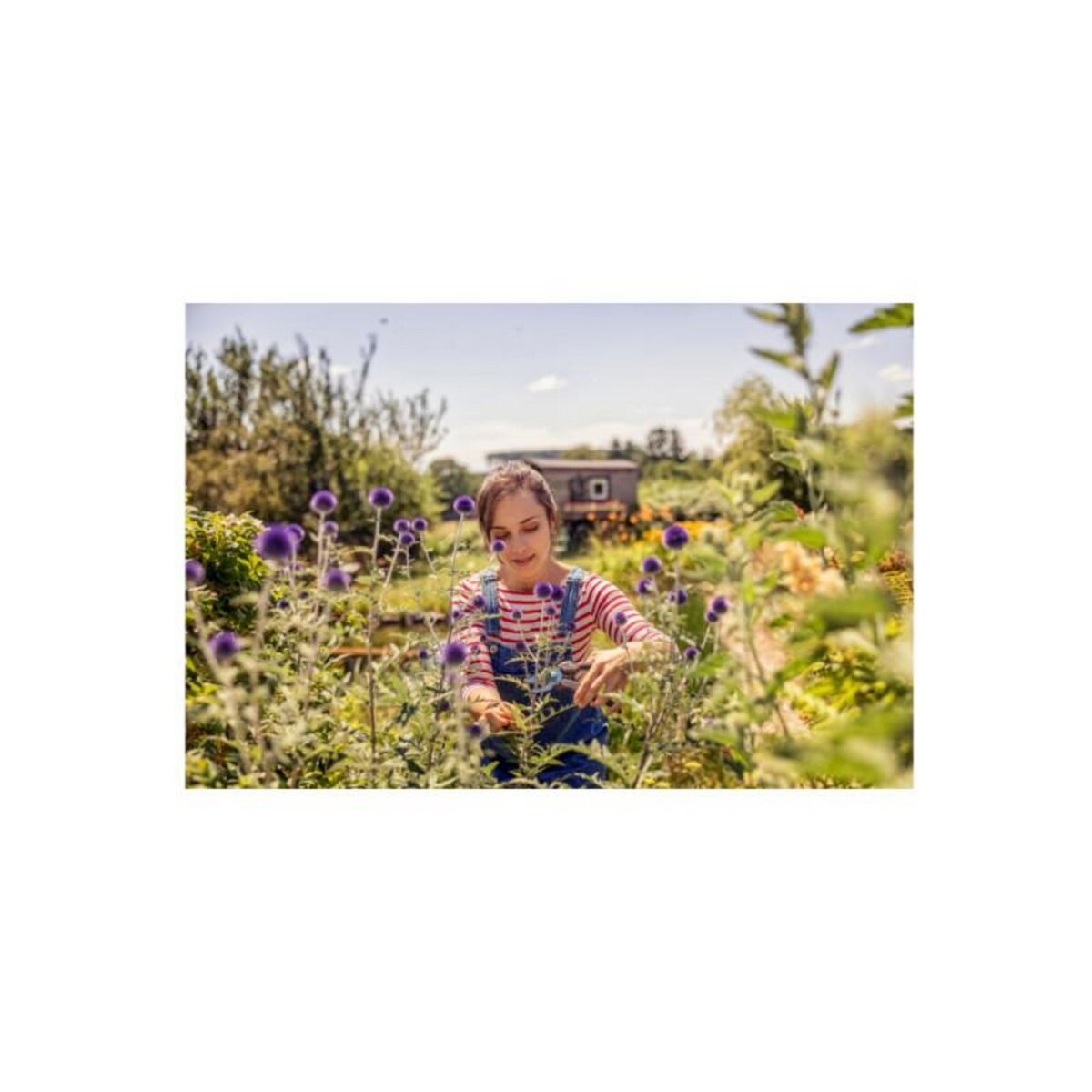 Gardena Sécateur à lame franche EcoLine GARDENA - Acier inoxydable - 18 mm - 12210-20