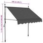Voir la diapositive 6 : VIDAXL Auvent manuel retractable avec LED 100 cm Anthracite