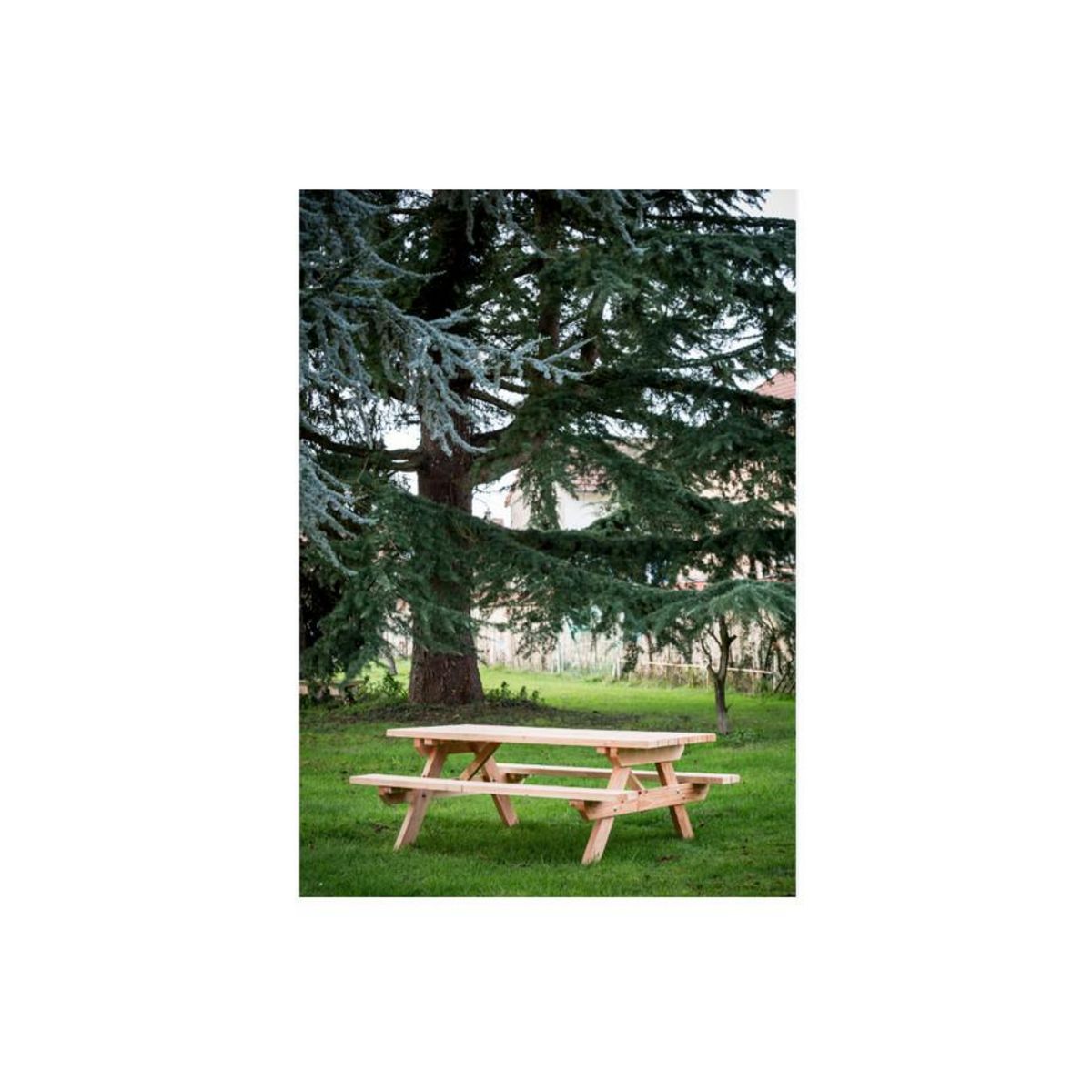 Hisense Table forestière en douglas 6 personnes - sj - tfd7
