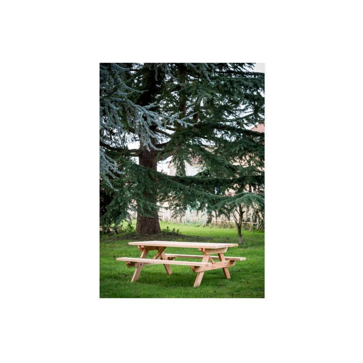 Hisense Table forestière en douglas 6 personnes - sj - tfd7