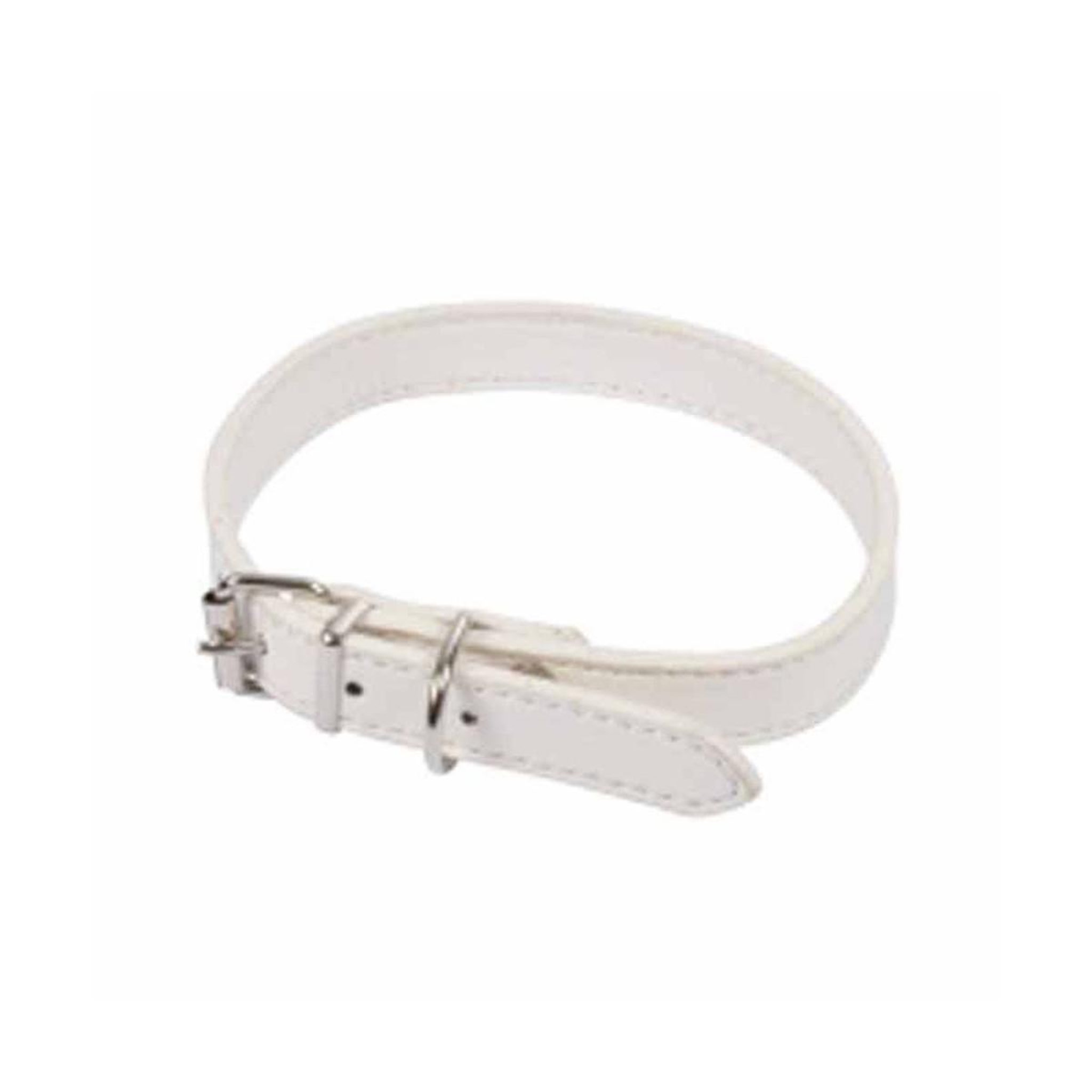 HOMEA Collier pour chien  design uni  40cm blanc