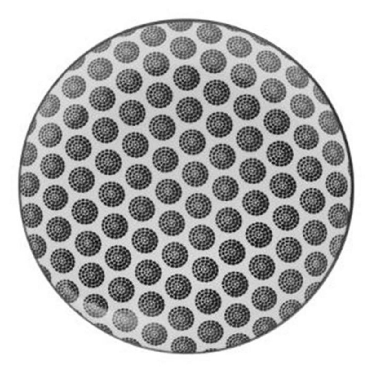 SECRET DE GOURMET Lot de 6 Assiettes à Dessert  Bohemia Rond  19cm Noir