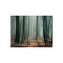 Voir la diapositive 2 : Paris Prix Papier Peint  Witches' Forest