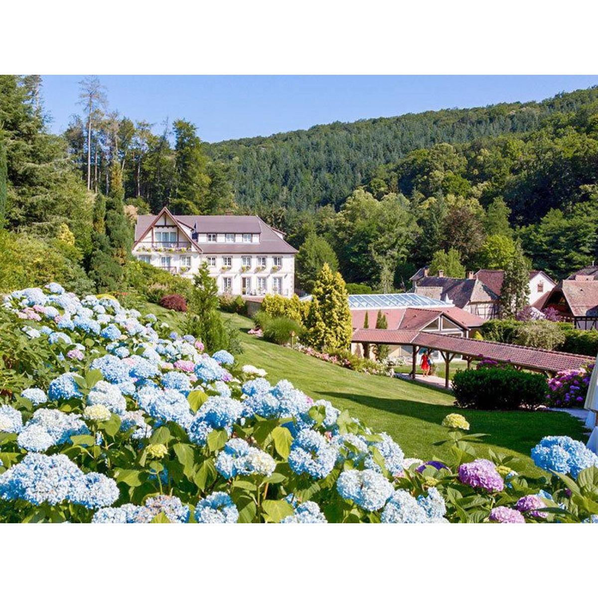 Smartbox 2 jours en hôtel 4* avec accès spa en pleine nature près de Strasbourg - Coffret Cadeau Séjour