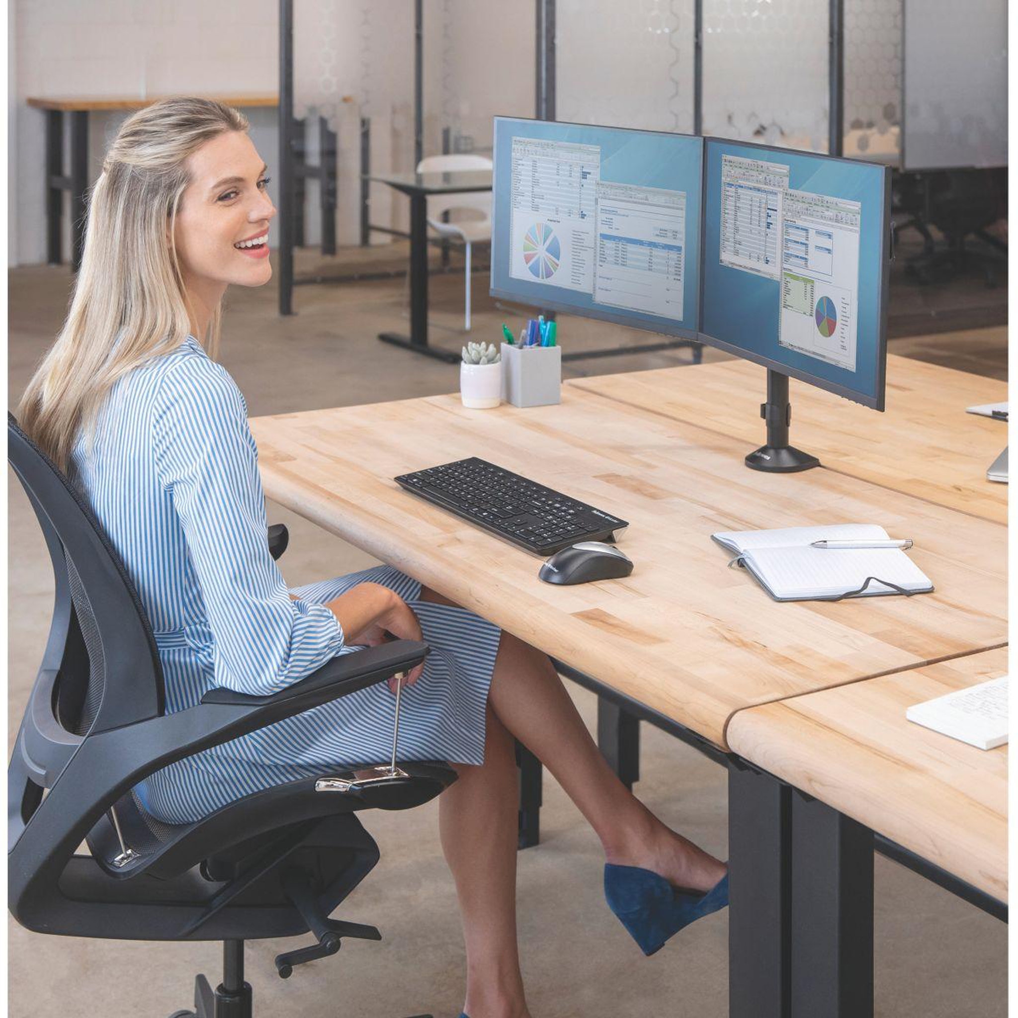 Voir la diapositive 4 : Fellowes Support écran pc support reflex double