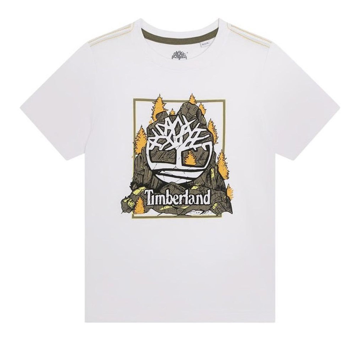 TIMBERLAND T Shirt  Garçon Timberland T60092