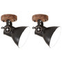 Voir la diapositive 1 : VIDAXL Lampe murale industrielle/de plafond 2 pcs Noir 20x25 cm E27