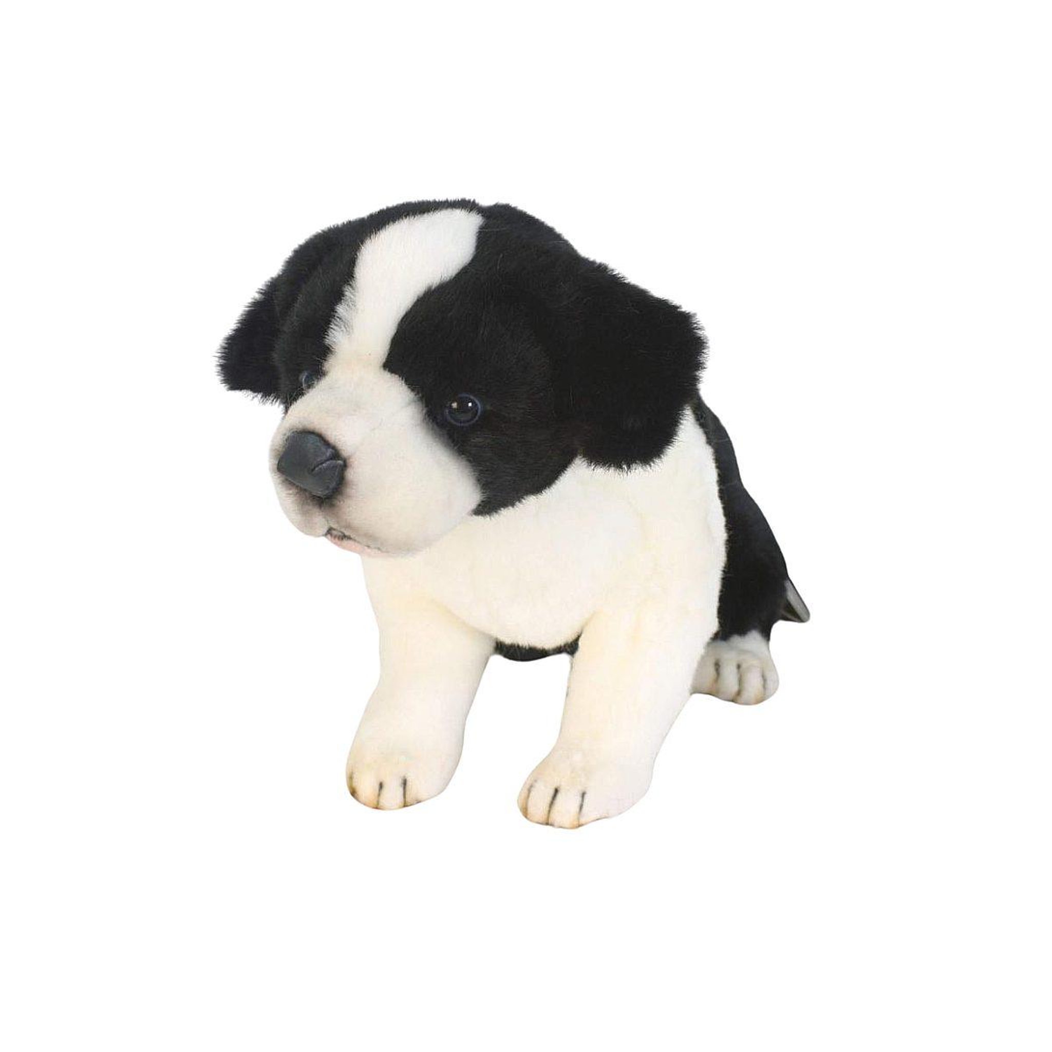 Anima Peluche border colley bebe assis 25cm