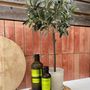 Voir la diapositive 4 : PLANT IN A BOX Olivier artificiel - Hauteur 65cm
