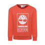 Voir la diapositive 1 : TIMBERLAND Sweat  Garçon Enfant Timberland T60075