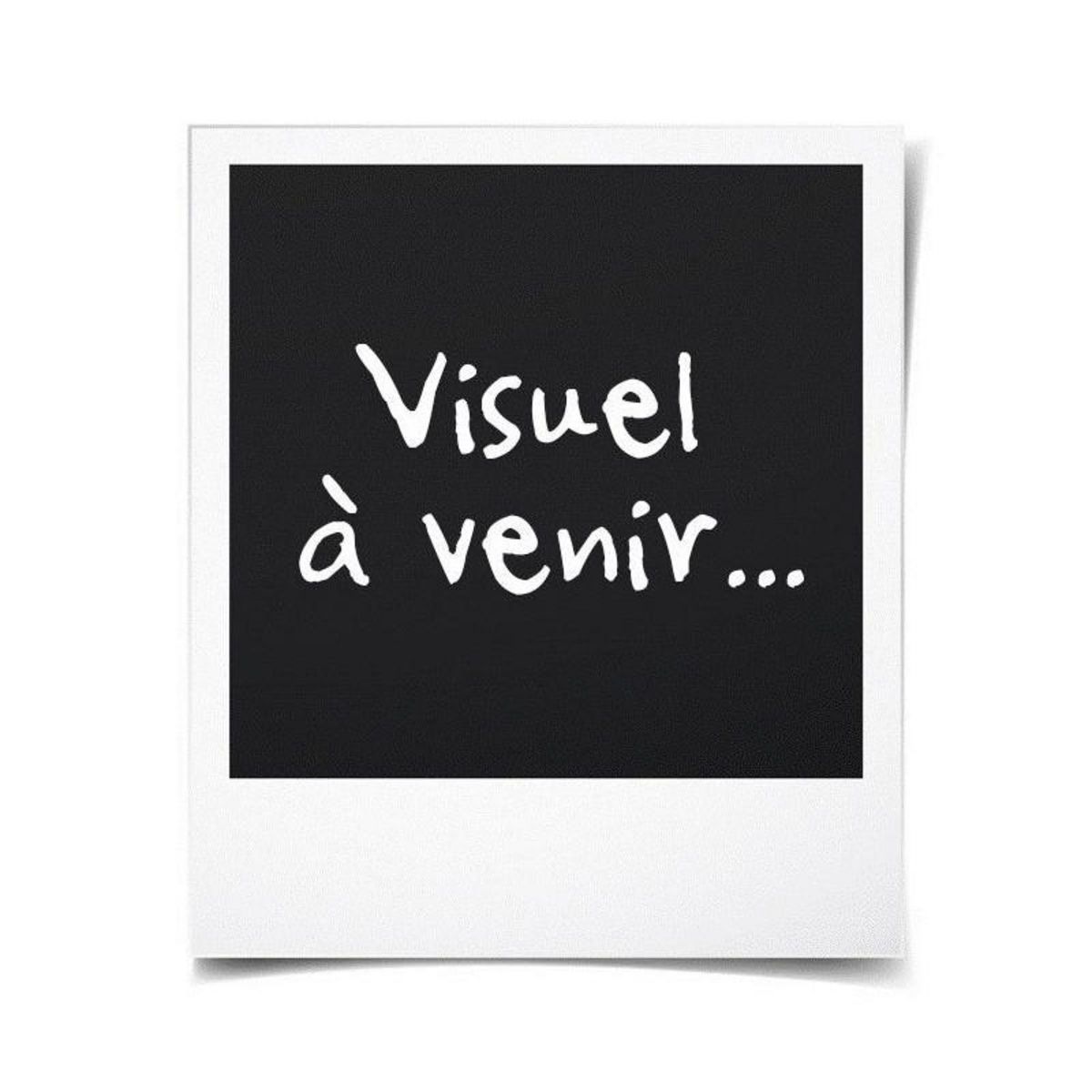 Epson Epson T0805 Colibri Cartouche dencre Cyan clair