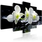 Paris Prix Tableau Imprimé  Melancholic Orchids. Coloris disponibles : Multicolore