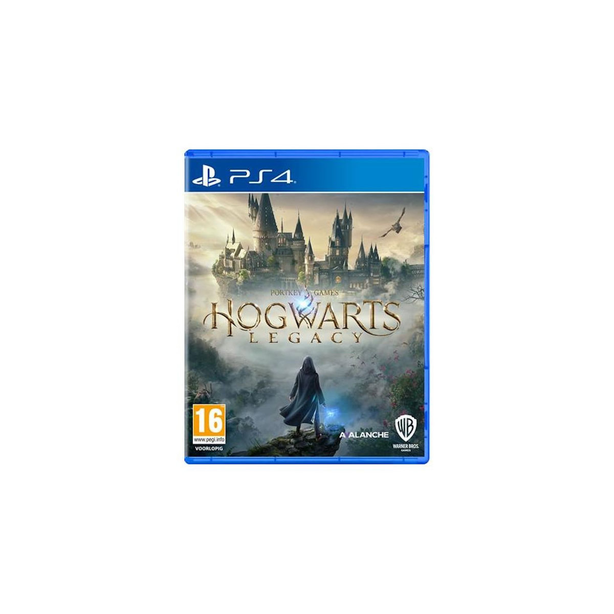 Warner Bros Hogwarts Legacy L Héritage de Poudlard PS4