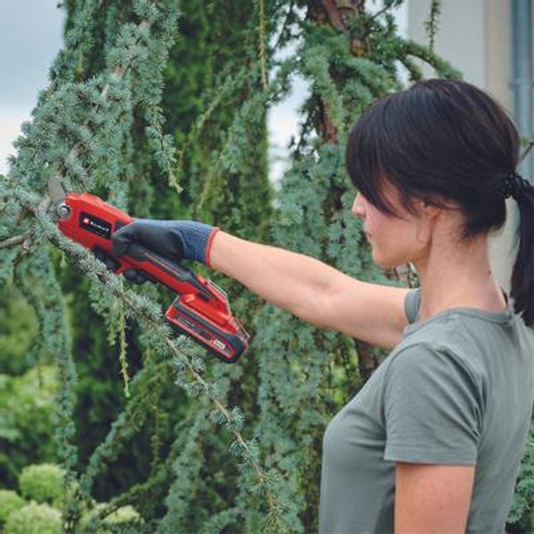 Voir la diapositive 2 : Einhell Sécateur sans fil EINHELL 3408300 GE-LS 18 Li - Solo Power X-Change (produit seul)