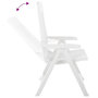 Voir la diapositive 5 : VIDAXL Chaises inclinables de jardin lot de 2 Plastique Blanc