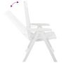 Voir la diapositive 5 : VIDAXL Chaises inclinables de jardin lot de 2 Plastique Blanc