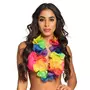Boland Collier Hawaïen - Rainbow - Grosses Fleurs