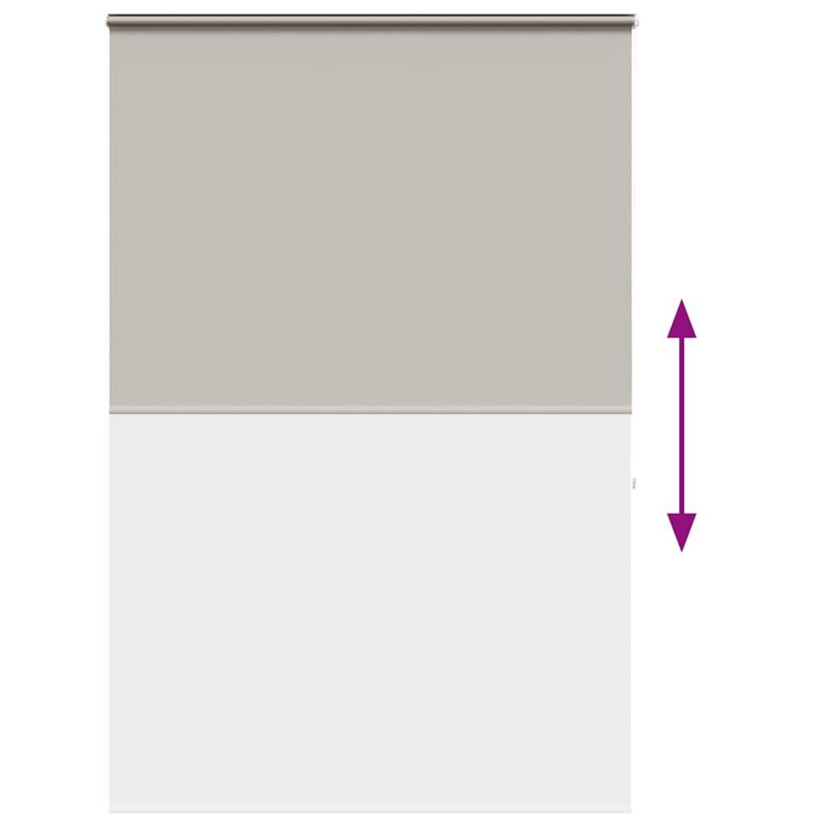 VIDAXL Store enrouleur de douche avec cassette largeur du tissu 156 cm