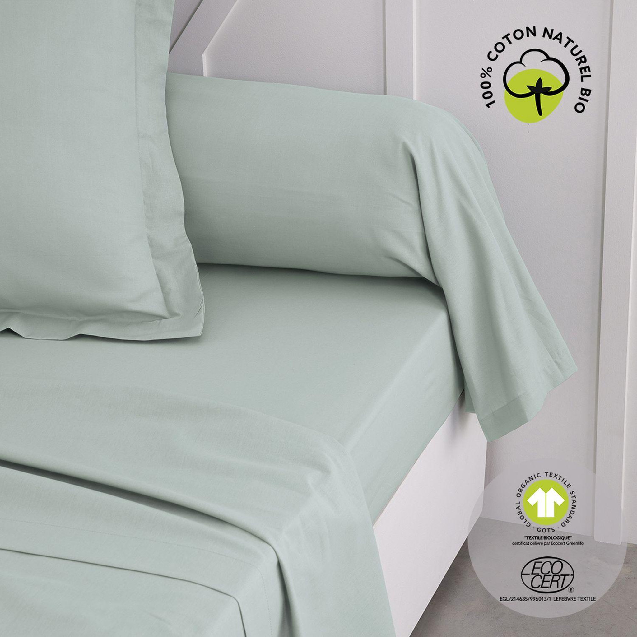 Voir la diapositive 2 : Today Taie de traversin - 100% coton BIO