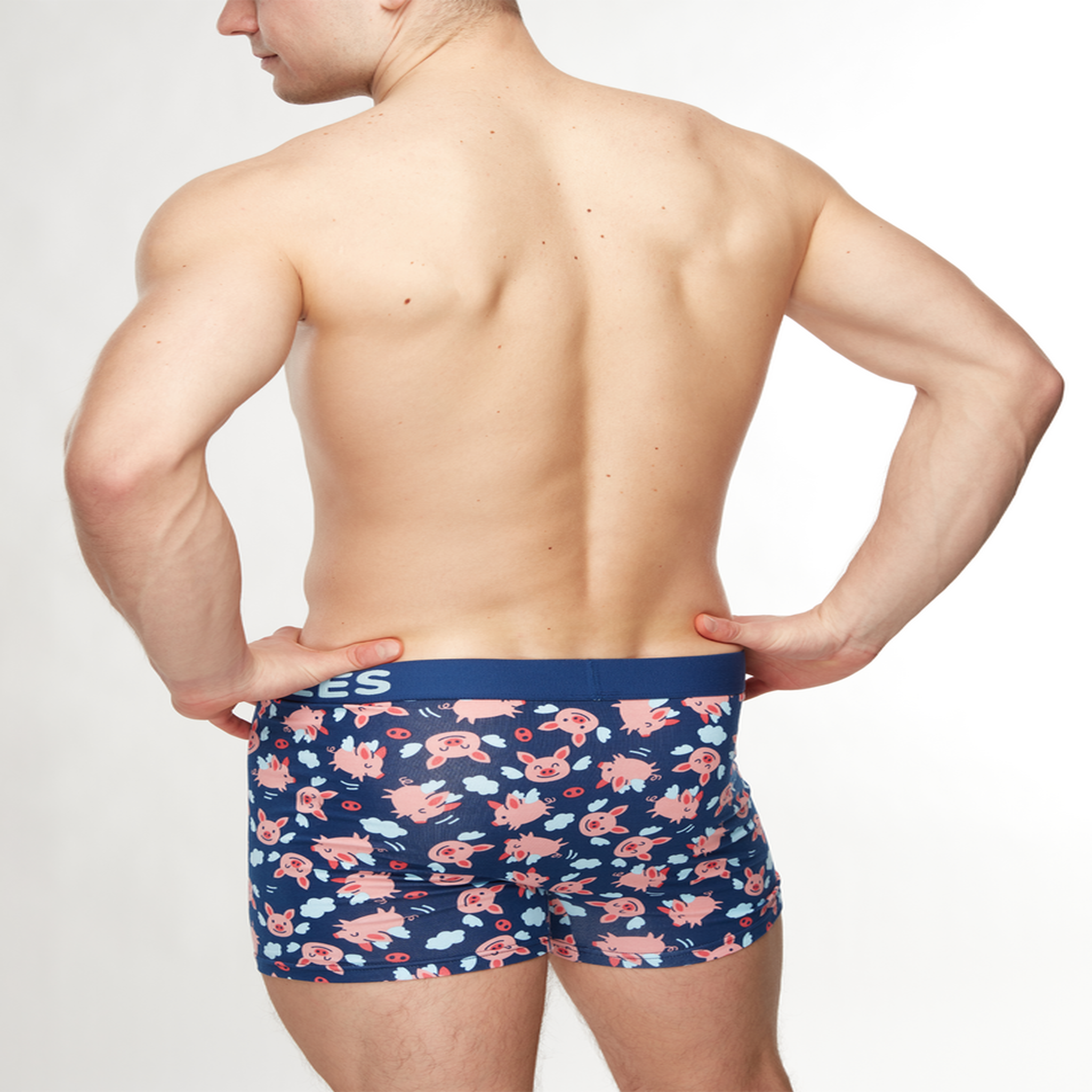 Voir la diapositive 4 : DEDOLES Boxer homme cochons ailés