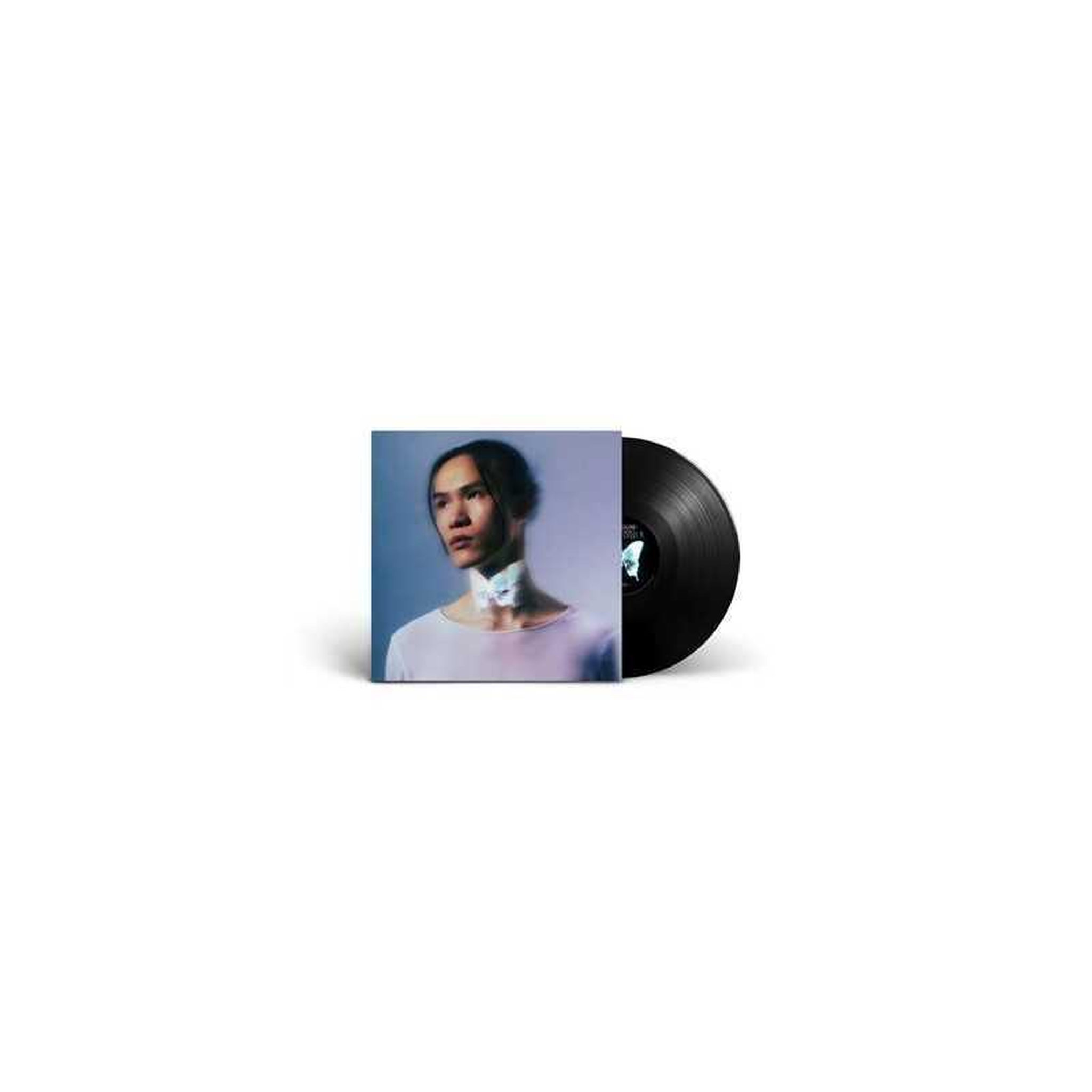 Lp vinyle noir nuit incolore la loi du papillon, 1 disque 16 titres, chanssons françaises pop rock