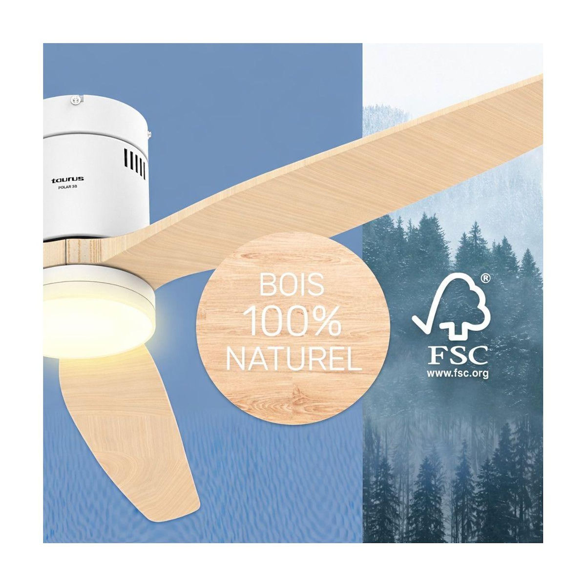 Taurus Ventilateur plafonnier POLAR 3B