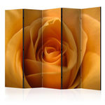 Paris Prix Paravent 5 Volets  Yellow Rose – a Symbol of Friendship  172x225cm