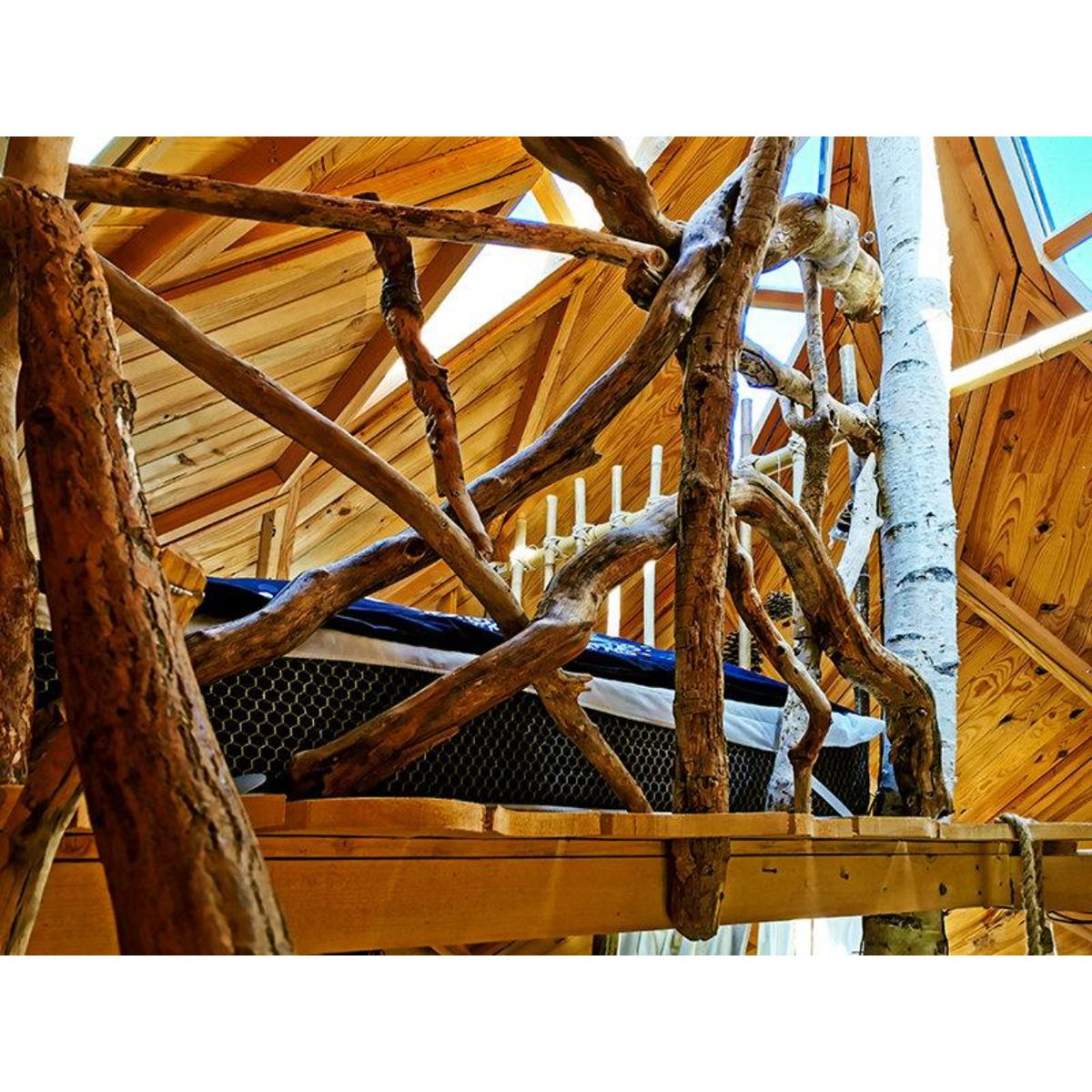 Smartbox Séjour insolite en famille : 3 jours en zome avec privatisation du kota grill - Coffret Cadeau Séjour