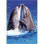 Agenda scolaire journalier 12x17cm Animaux Sauvages Dauphins 2023-2024