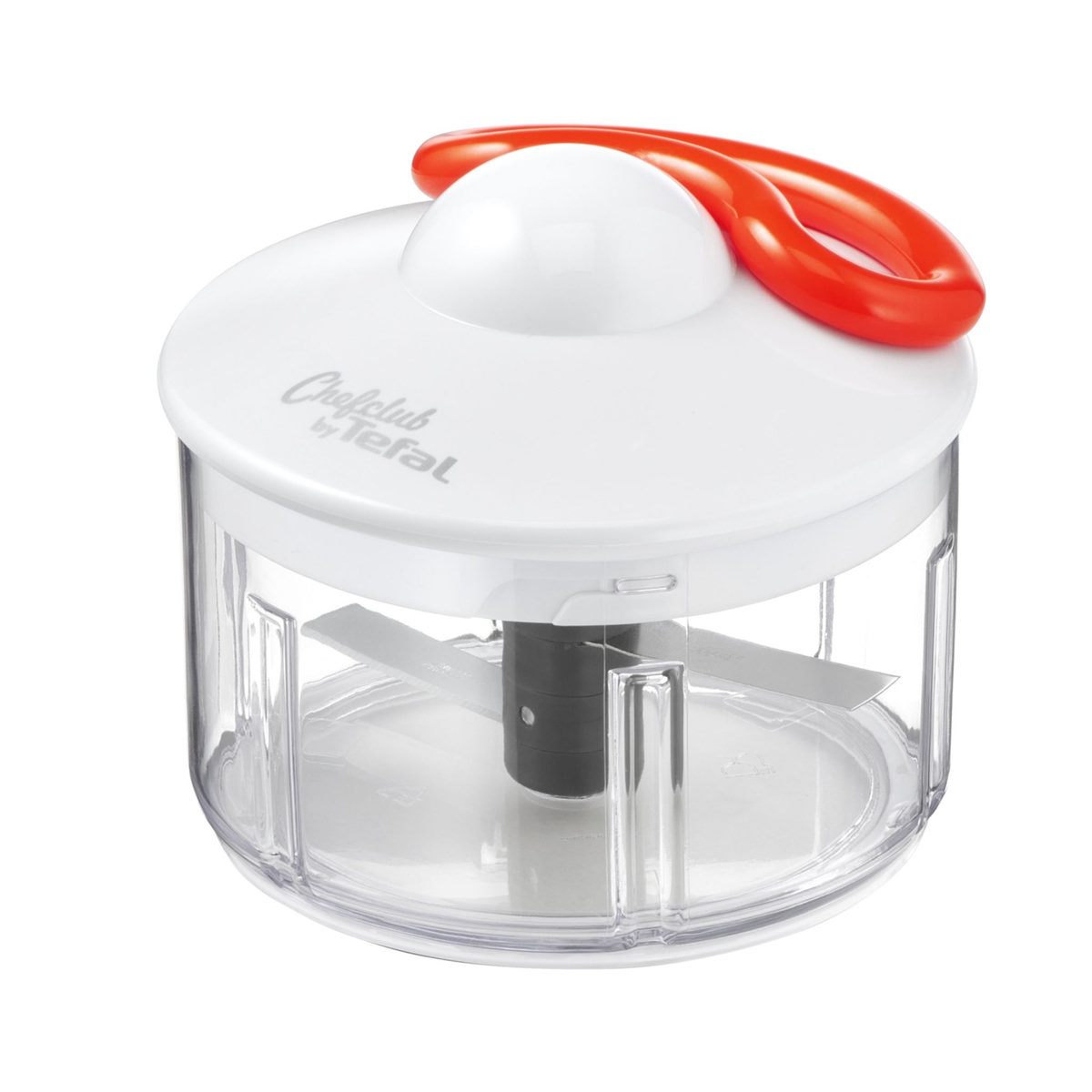 Russell Hobbs 24662-56 hachoir électrique 0,5 L 200 W Noir, Transparent