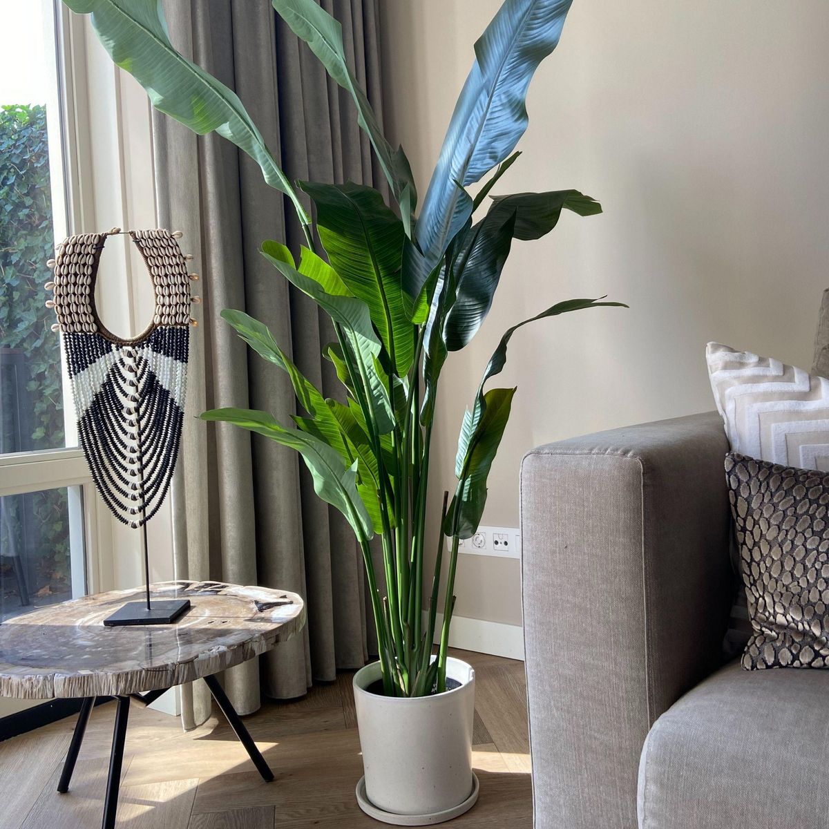 PLANT IN A BOX Strelitzia artificiel - Hauteur 160cm