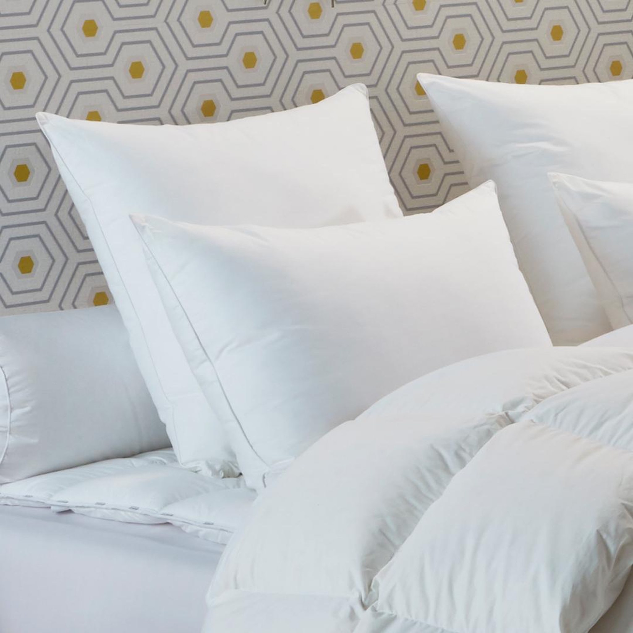 Voir la diapositive 1 : DODO Oreiller 30% duvet de canard Proneem - FERME