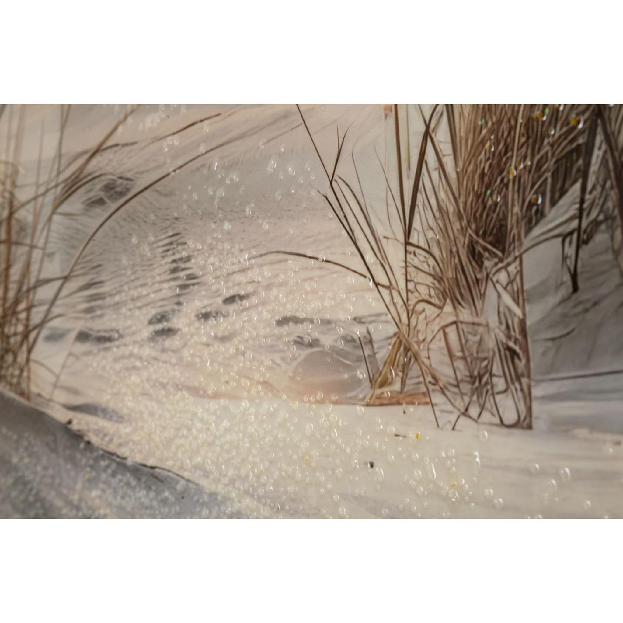 Voir la diapositive 4 : Paris Prix Tableau imprimé  beach i  152x52cm multicolore