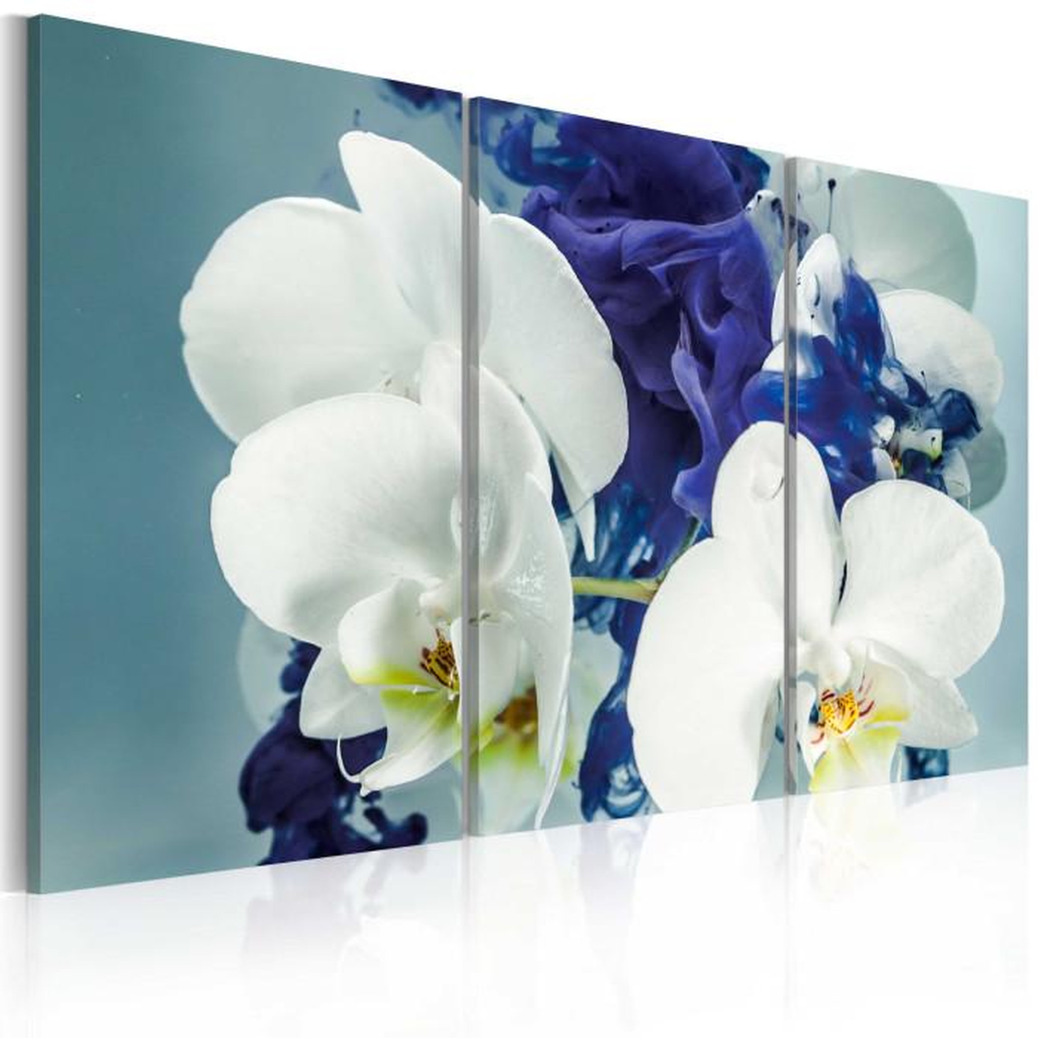 Paris Prix Tableau Imprimé  Orchidées Chimériques. Coloris disponibles : Multicolore