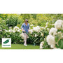 Voir la diapositive 4 : BOSCH Coupe bordure EasyGrass Cut 18V-260 avec 2x2,0 Ah Bosch