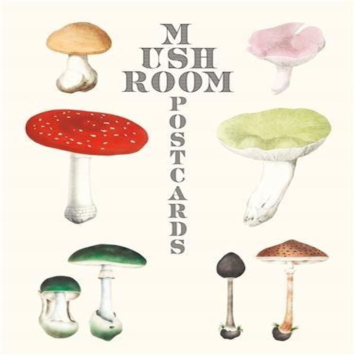 MUSHROOM POSTCARDS. EDITION EN ANGLAIS, Anonyme