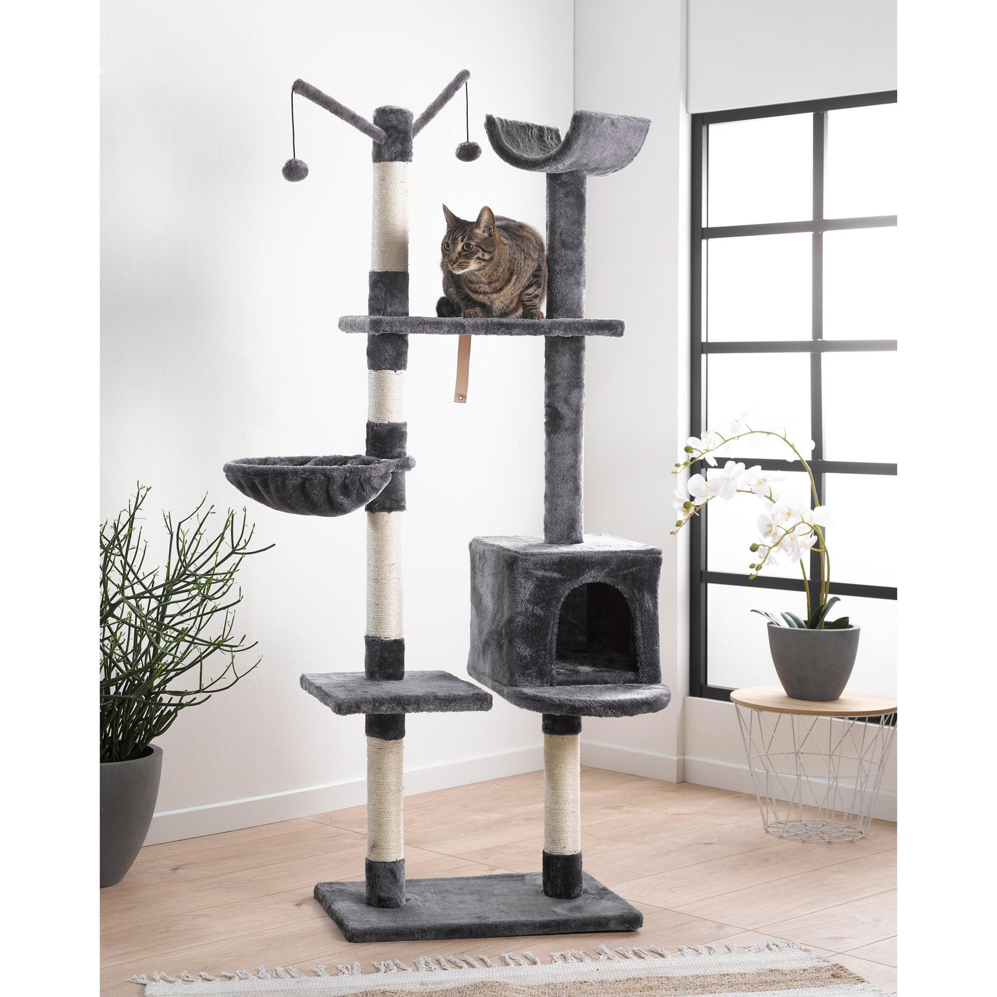 Voir la diapositive 2 : Eden Arbre a chat 4 plateformes 160 cm