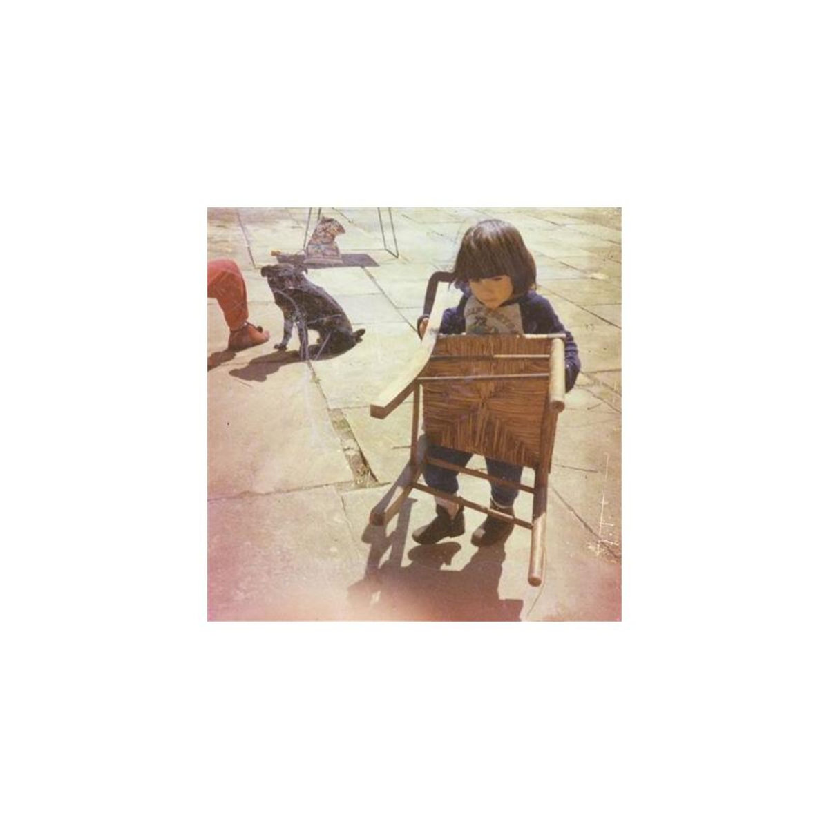 Waiting For The Cricket Choir