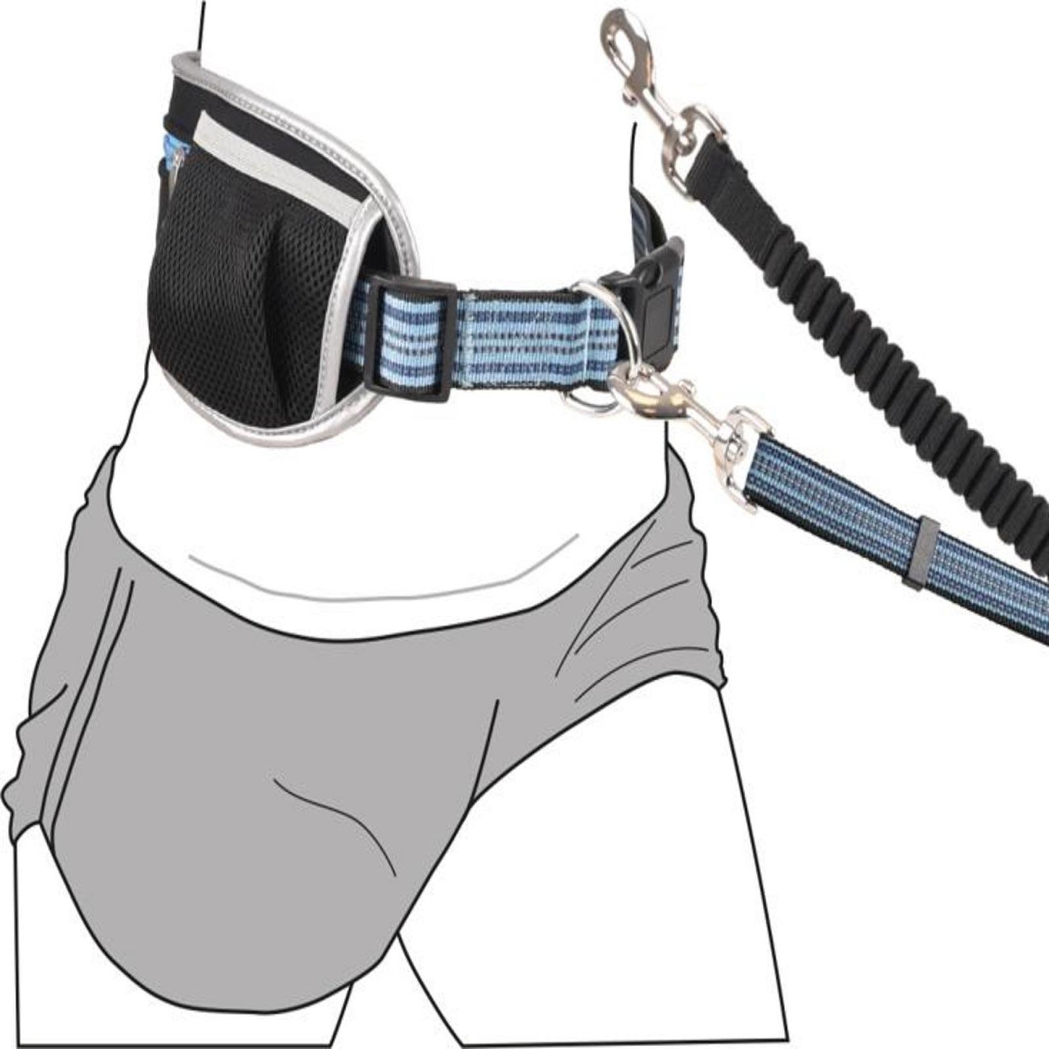 Voir la diapositive 4 : Eden Laisse de jogging pour chien avec ceinture ventrale bleu