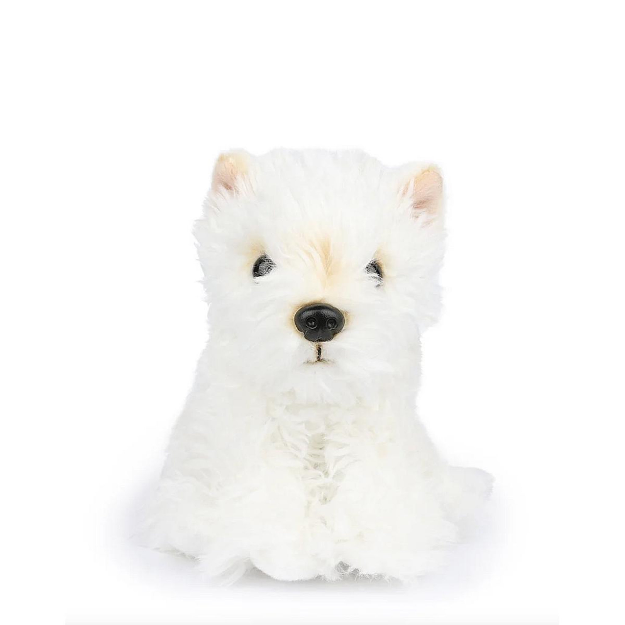 Voir la diapositive 2 : BT CHAPS Timothy le terrier ecossais en boite cadeau 17cm