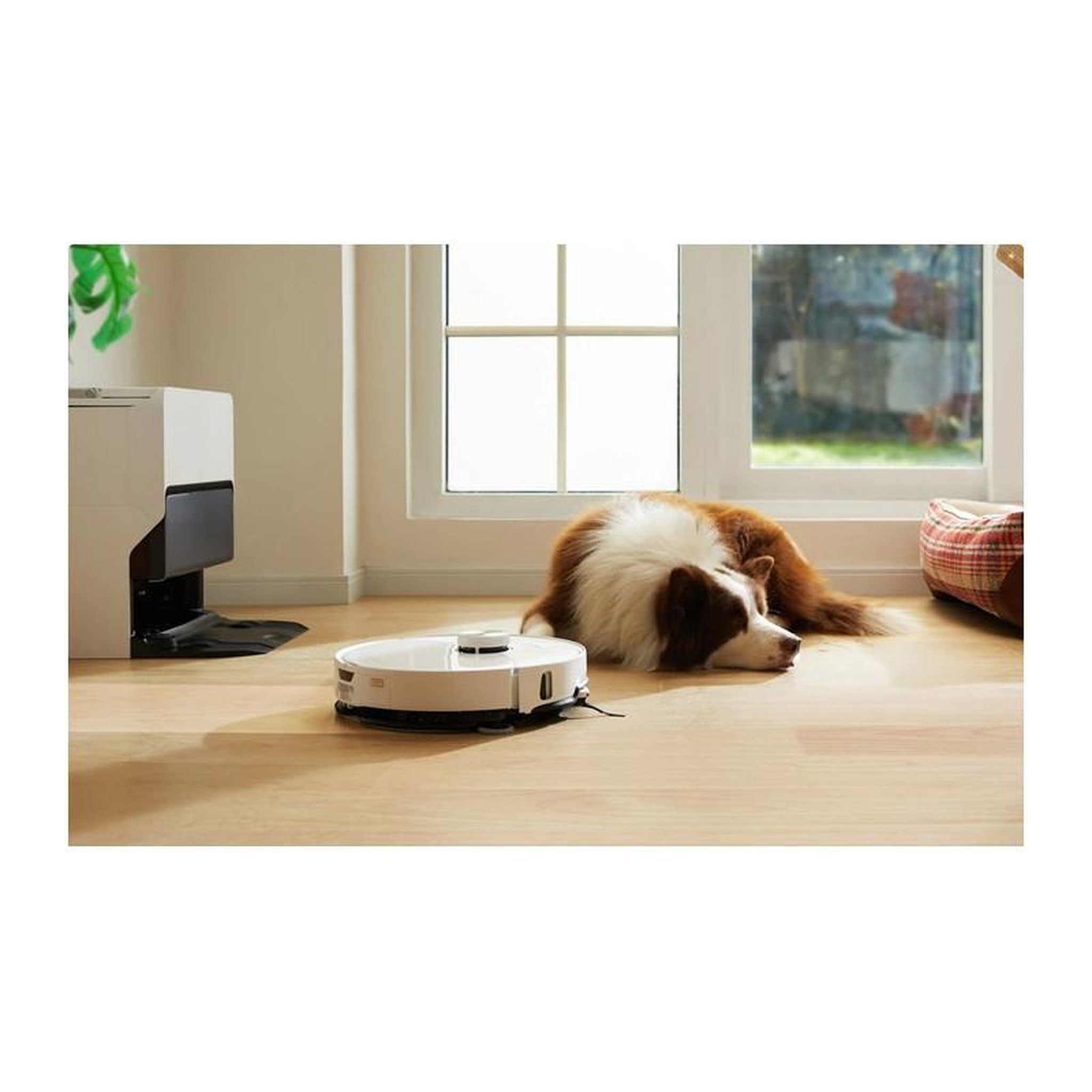 Voir la diapositive 6 : ROBOROCK Aspirateur robot S8 MaxV Ultra Black