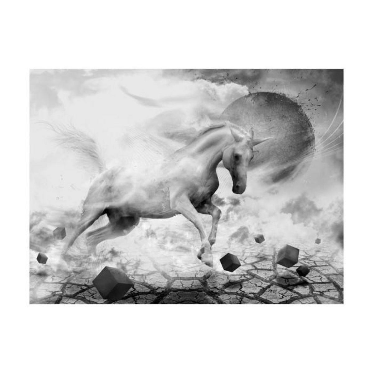 Paris Prix Papier Peint  Unicorn