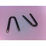 CENTRALE BRICO Pointes crampillon pour cloture, 1 kg