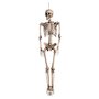 Boland Décoration Squelette 160 cm
