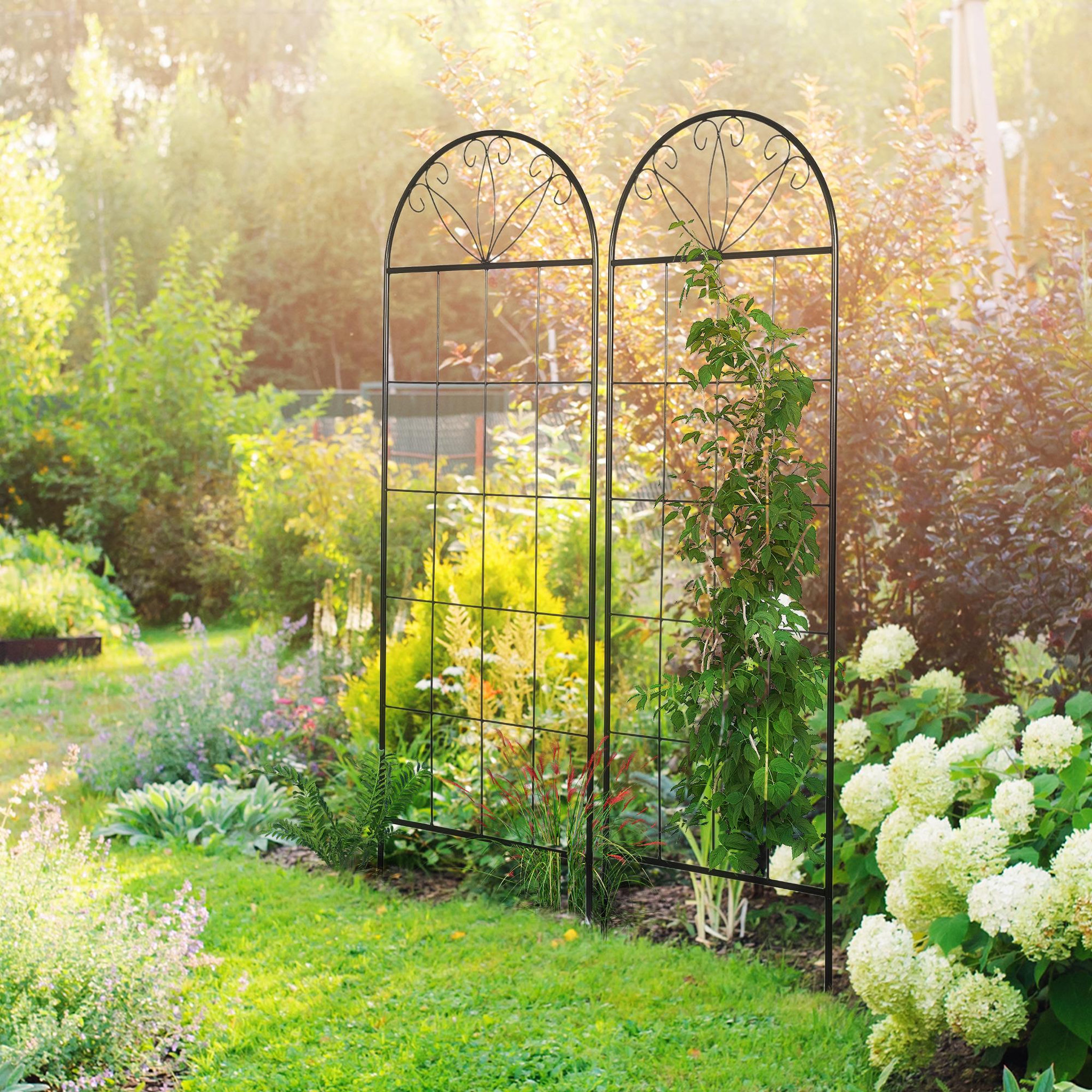 Voir la diapositive 2 : OUTSUNNY Treillis de jardin lot de 2 supports pour plantes grimpantes - dim. 51L x 152H cm - métal époxy noir