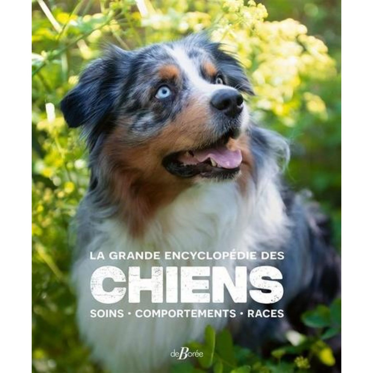 LA GRANDE ENCYCLOPEDIE DES CHIENS. SOINS, COMPORTEMENTS, RACES, De Borée